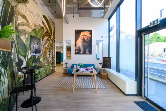 Espace d'accueil lors de votre entrée au sein de la clinique Mon Chat et Moi de Tassin (Lyon Ouest)