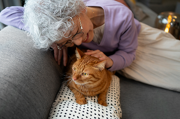 Faut-il encore vacciner un vieux chat _-1