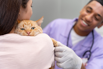 Mon Chat & Moi, vétérinaire Castelnau-le-Lez pour chats​