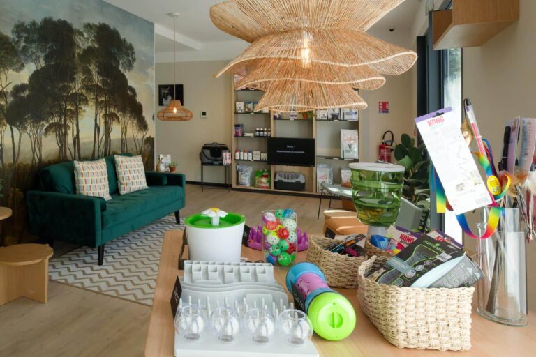 “Mon Chat & Moi” ouvre un 9ème établissement à Castelnau-le-Lez (Montpellier Nord-Est)