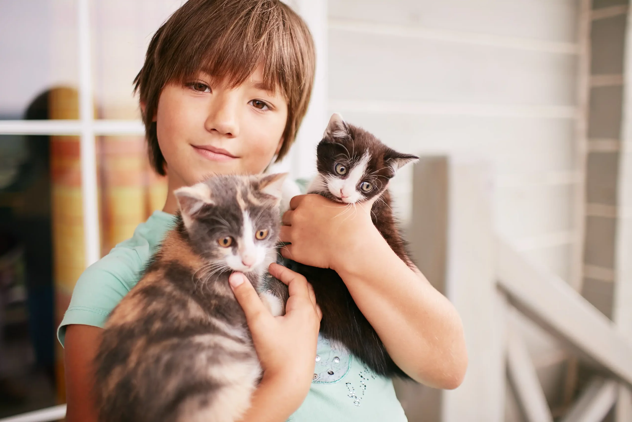 Adopter un chaton - Mon chat et moi 4