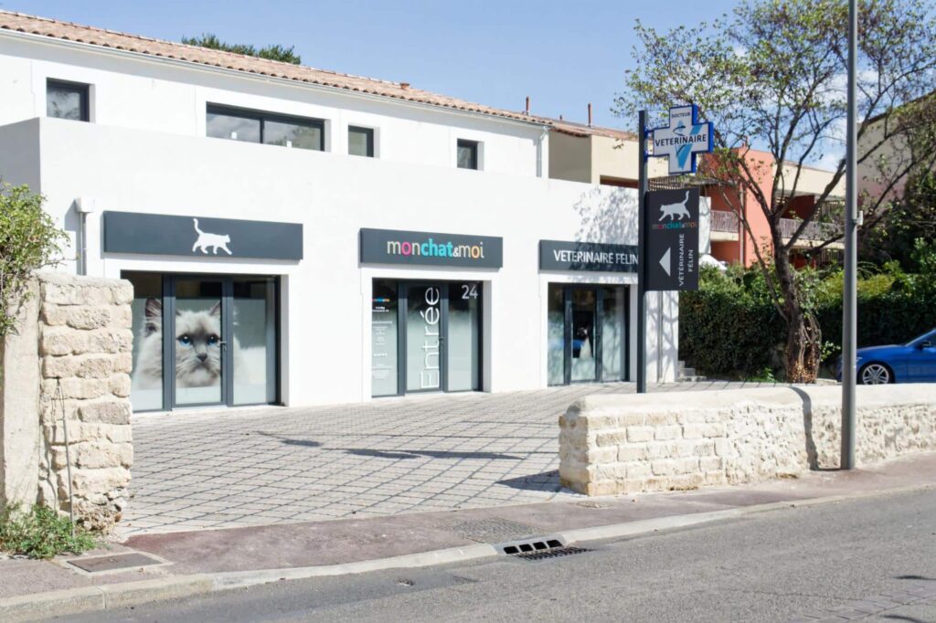 Clinique vétérinaire Castelnau-le-Lez pour chats