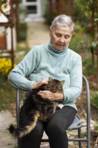 vieux chat poils collés