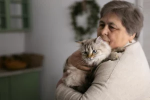 vieux chat poils collés