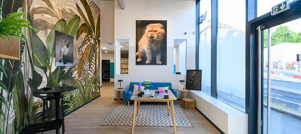 vétérinaire Tassin-2 - veterinaire lyon mon chat et moi