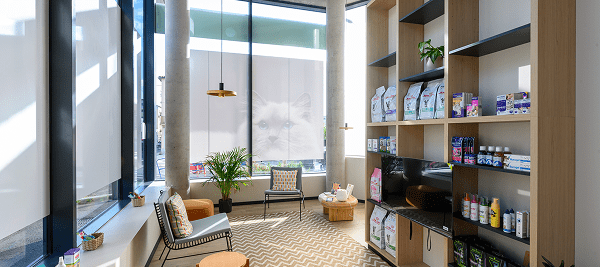 vétérinaire Tassin-4 - veterinaire lyon - mon chat et moi