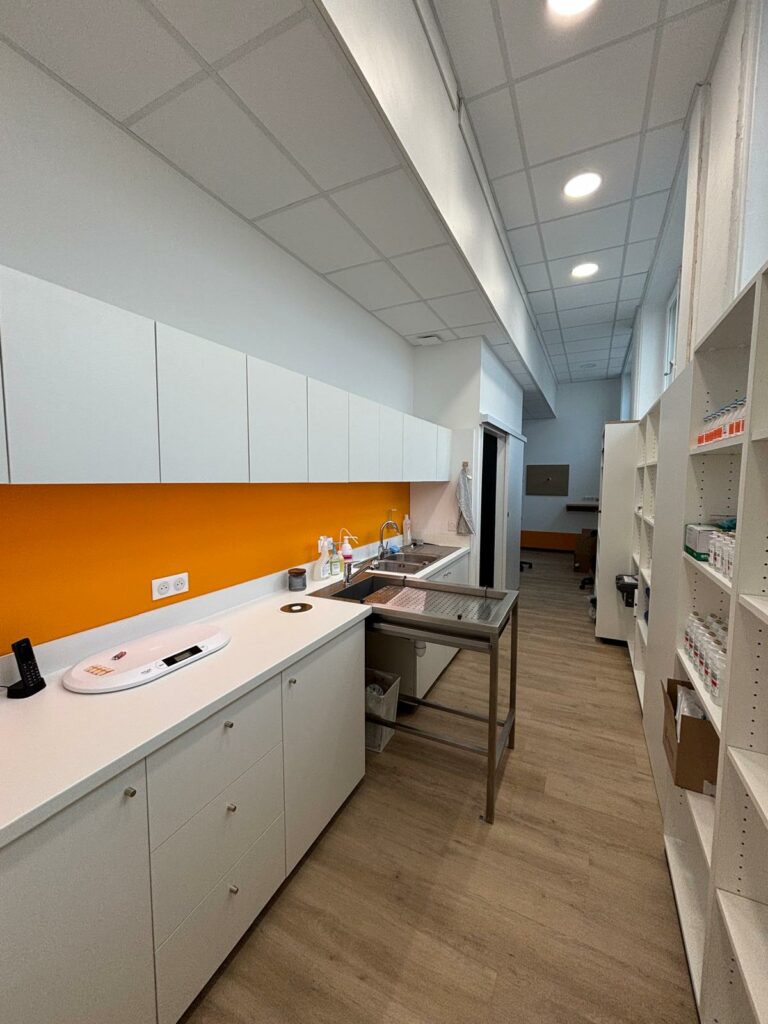 Véterinaire Lyon 3 - Mon chat et moi