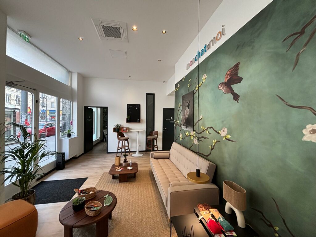 Vétérinaire Lyon 3 - Mon chat et moi