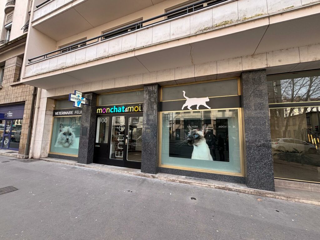 Vétérinaire Lyon 3 - Mon chat et moi