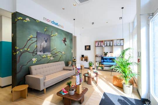 "Mon Chat & Moi" ouvre un 10ème établissement à Lyon 3