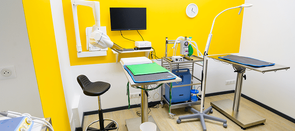 vétérinaire angers - mon chat et moi Chirurgie 1