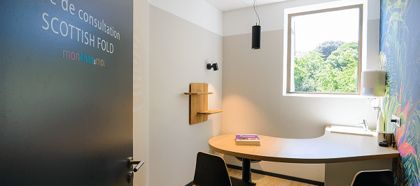 vétérinaire angers - mon chat et moi consultation2 1